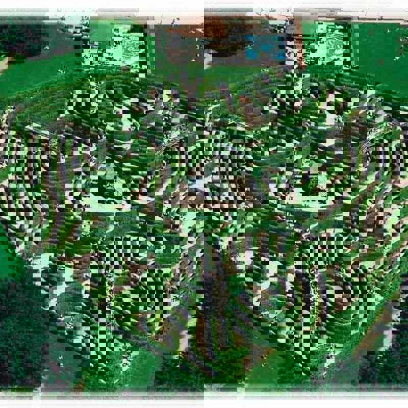 asdasd