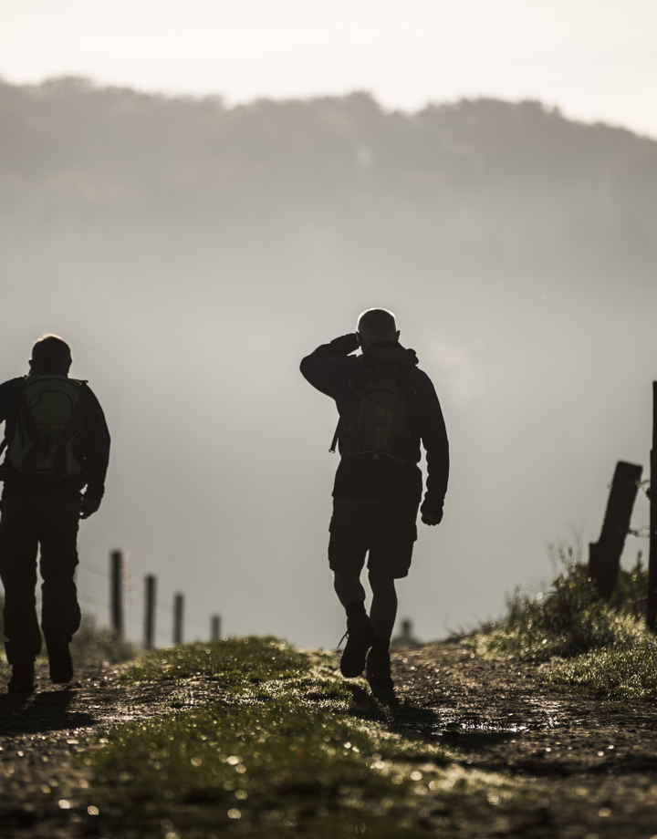 Twee wandelaars in mistig landelijk gebied