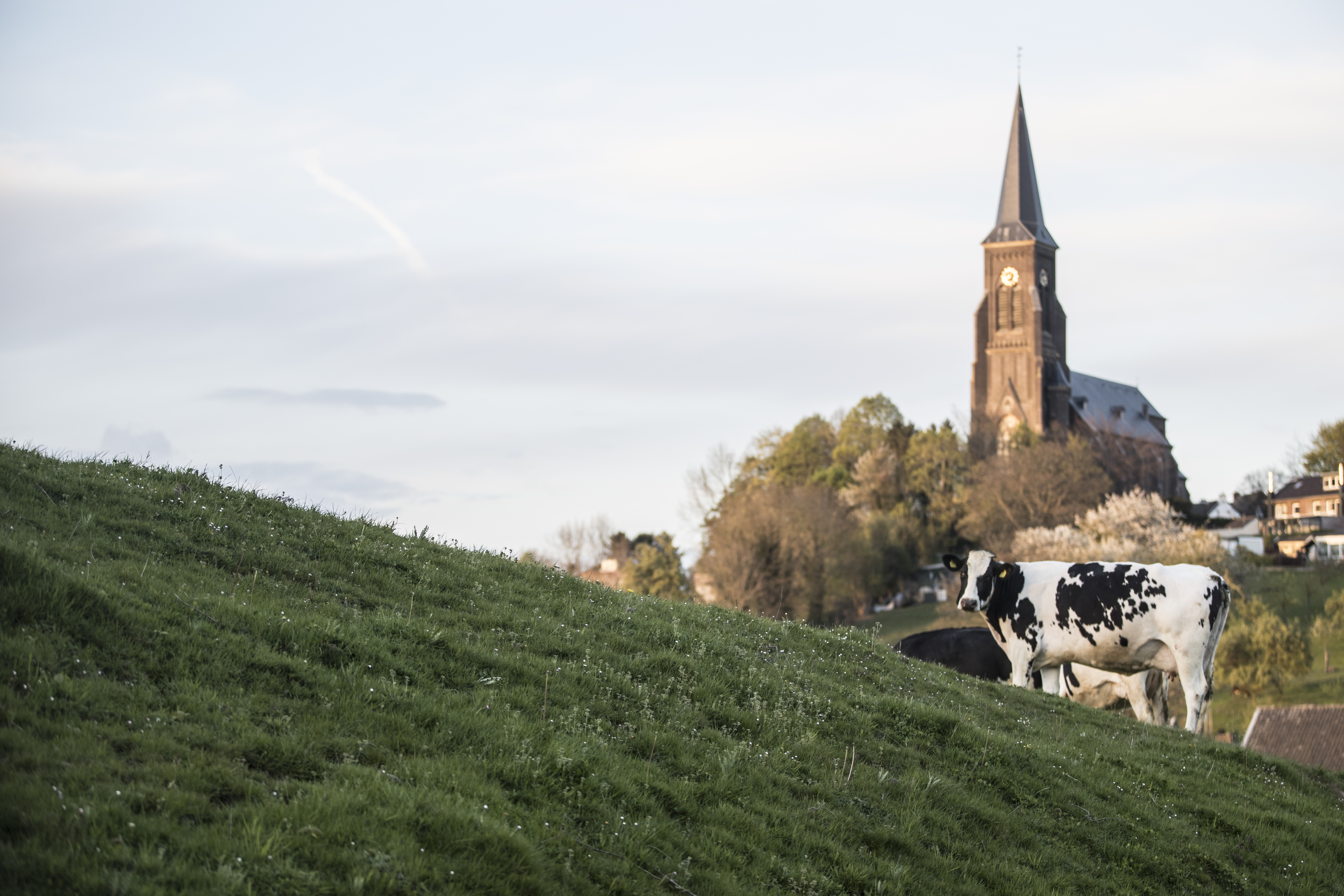 Wandelroute Vaals - Cittaslow bergdorpje Vijlen