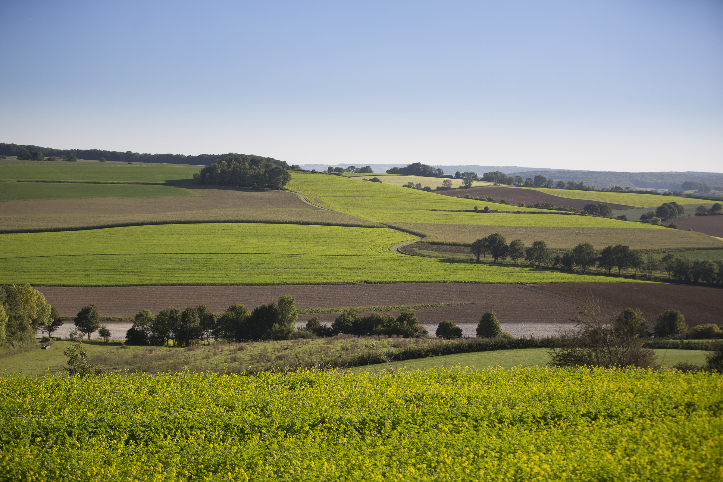 LGOG-Landschapsdag in Vijlen
