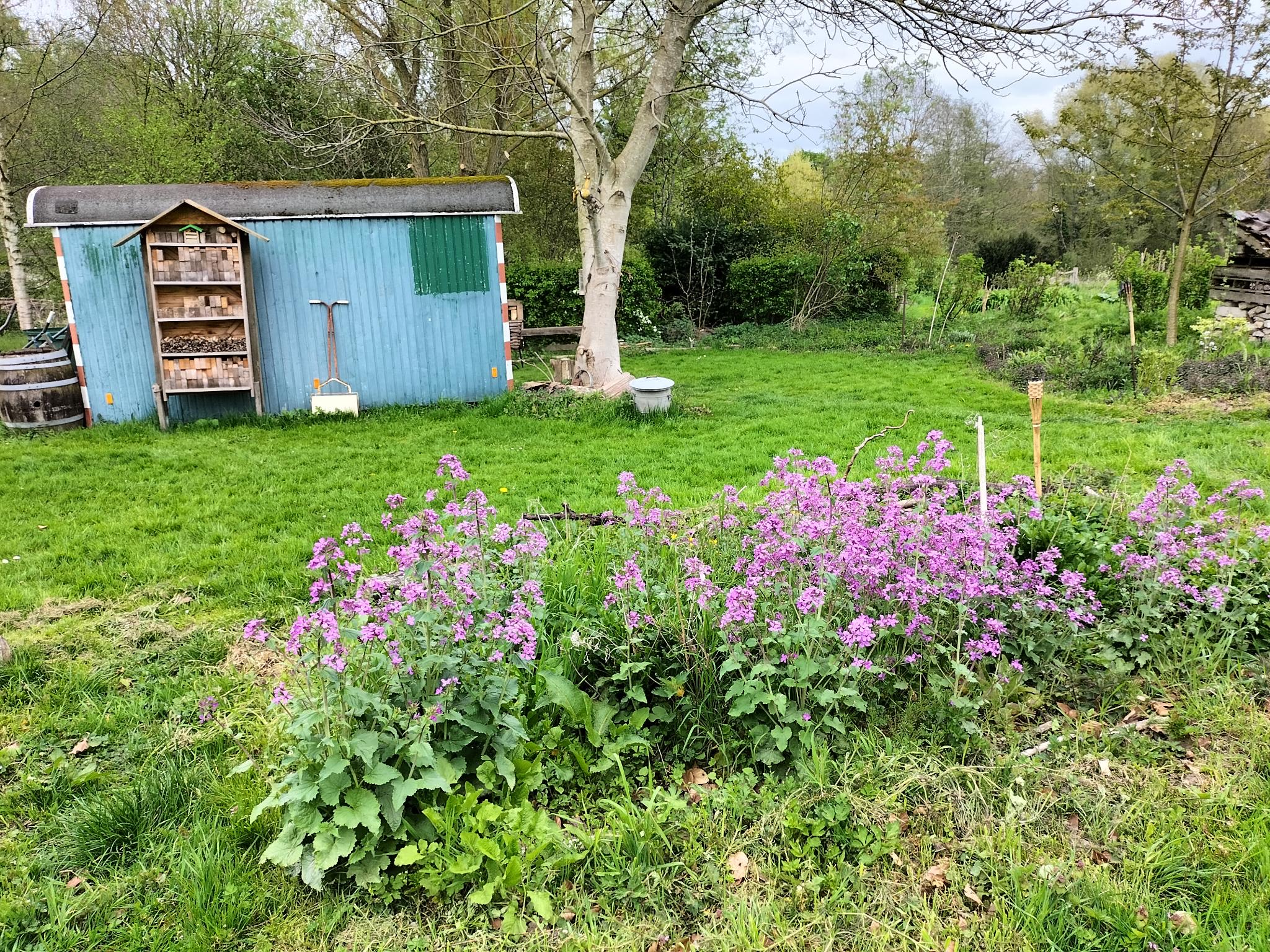 Open tuin De Wij tijdens Ecotuindagen